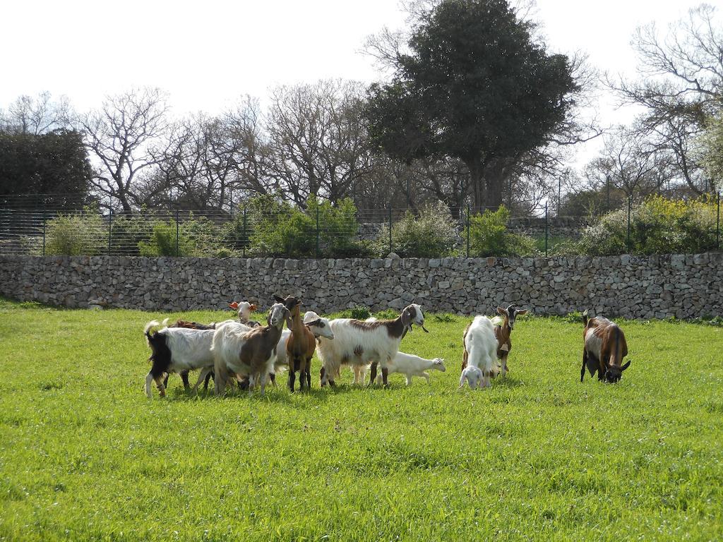Agriturismo Masseria Casedde Vecchie Villa Martina Franca Bagian luar foto